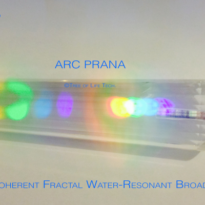 WHAT IS THE ARC? WHAT IS THE TREE OF LIFE? BIO-ELECTRIC AND BIO-WATER RESONANT ENERGY/INFORMATION TRANSFER SYSTEM